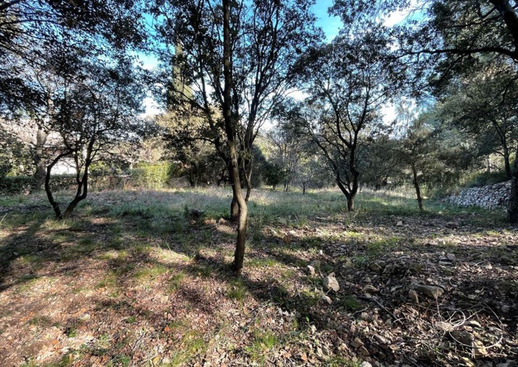 Terrain MURVIEL LES MONTPELLIER 350000€ METRODOM IMMOBILIER Terrain MURVIEL LES MONTPELLIER 350000€ METRODOM IMMOBILIER