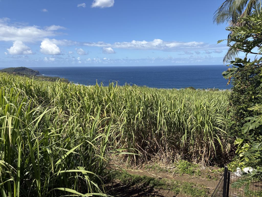 Maison SAINT PIERRE 525000€ METRODOM IMMOBILIER Maison SAINT PIERRE 525000€ METRODOM IMMOBILIER